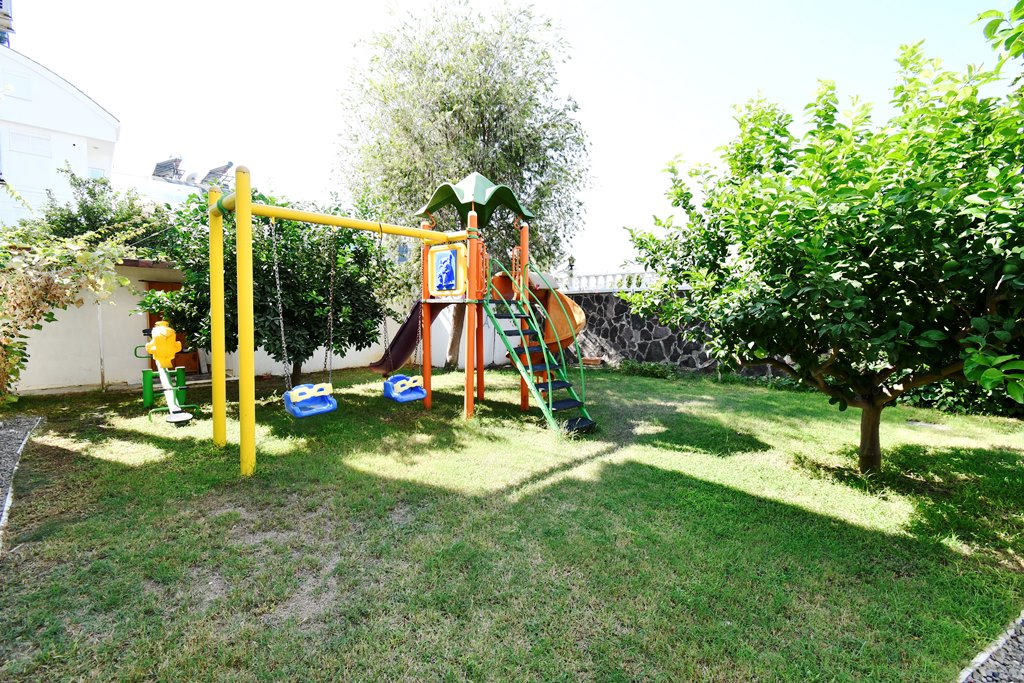 slide image
